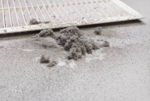 Best Emergency Air Duct Cleaning  in Argo, AL