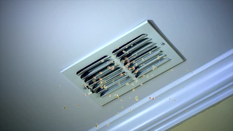 Best Best Air Duct Cleaning Company  in Argo, AL
