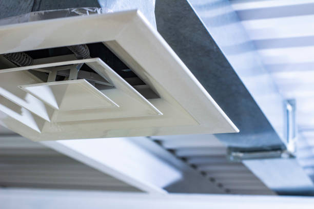 Best Air Vent Cleaning Services  in Argo, AL