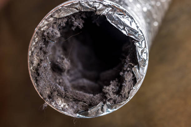 Best HVAC Duct Inspection Services  in Argo, AL