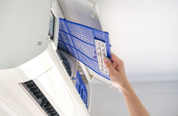 Best Affordable Duct Cleaning Services  in Argo, AL