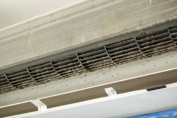 Best HVAC Duct Inspection Services  in Argo, AL